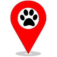 Nous pouvons véhiculer vos colis ou vos animaux.